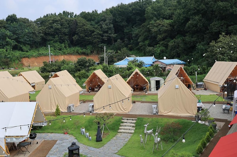 포레스트 도일 시설 사진 15