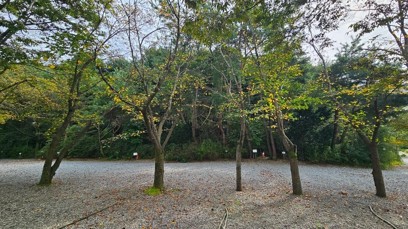 숲속에안뜰 캠핑장 시설 사진 20