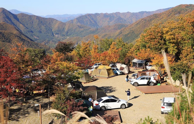 동강전망휴양림오토캠핑장 시설 사진 3