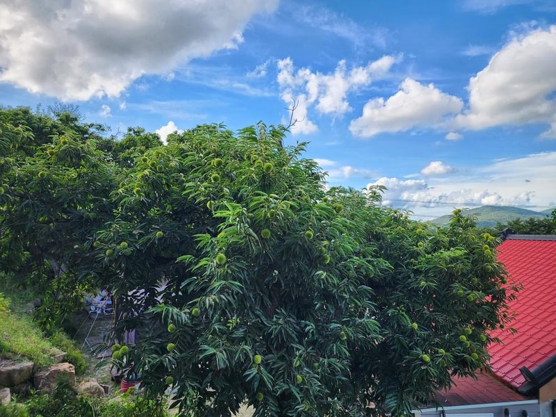 봄이오는 캠프 시설 사진 22