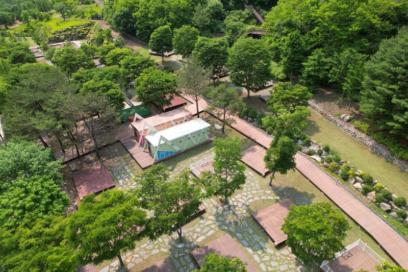 정선군생태체험학습장야영장 펫 동반 캠핑장 시설 사진 82