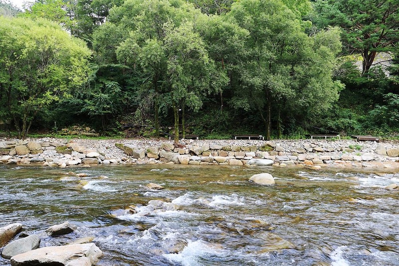 상동 장산 야영장 시설 사진 11