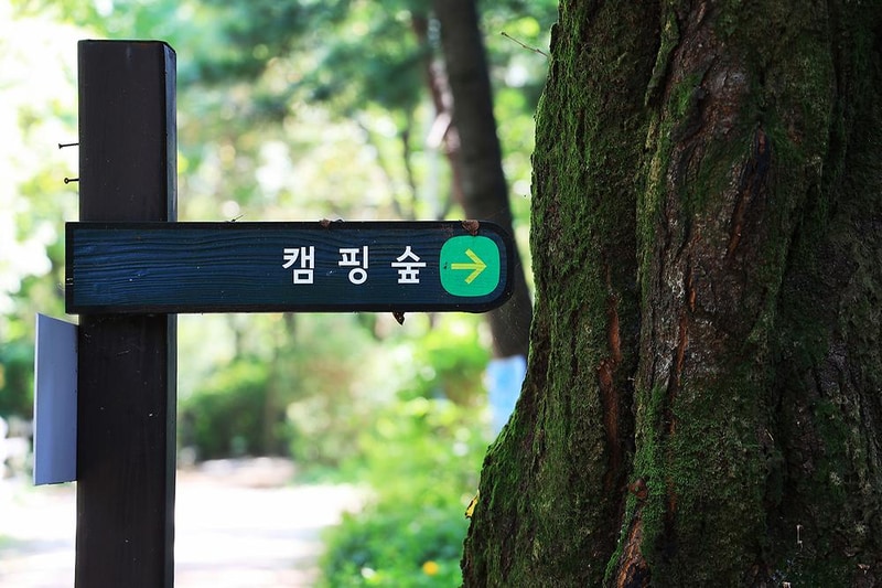 관악산 계곡 캠핑장 시설 사진 25