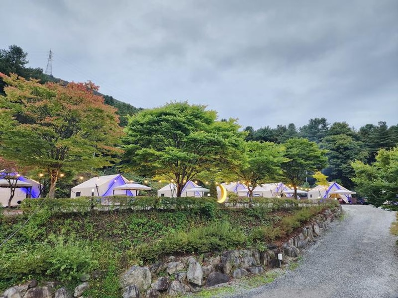 달빛정원글램핑&카라반 대표 사진