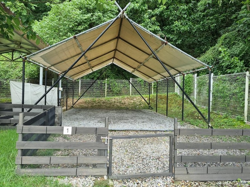 루파니애견캠핑장 시설 사진 19