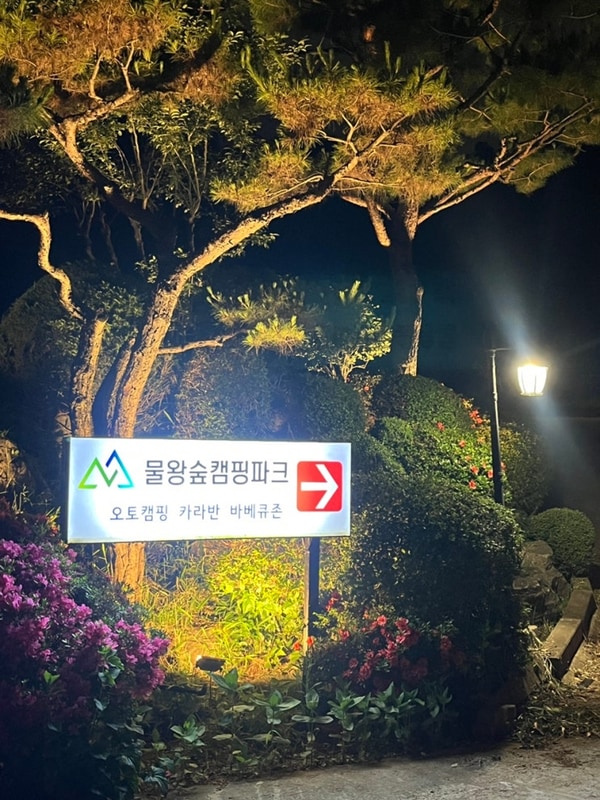 서울 근교 애견동반 캠핑장 | 시흥 물왕숲캠핑파크 베타캠핑존...