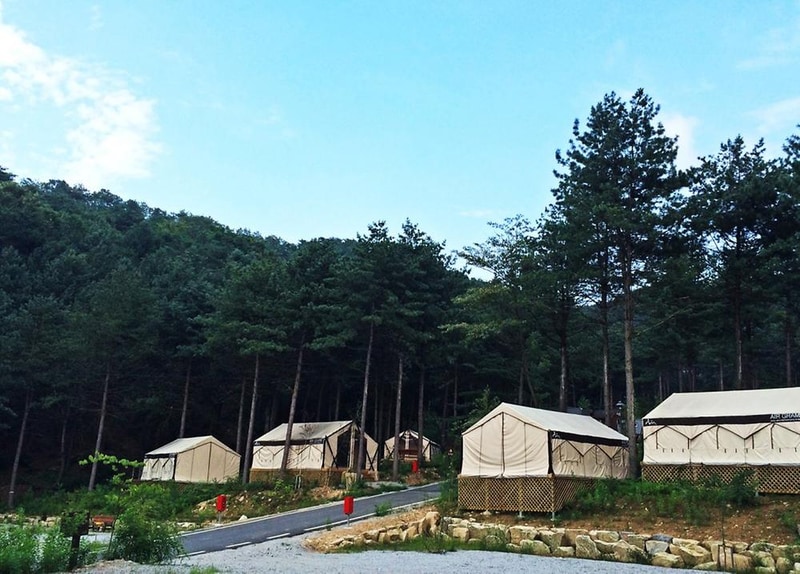 양평 다목적캠핑장 시설 사진 23