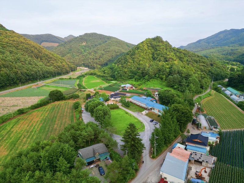 오손도손캠핑장 시설 사진 20