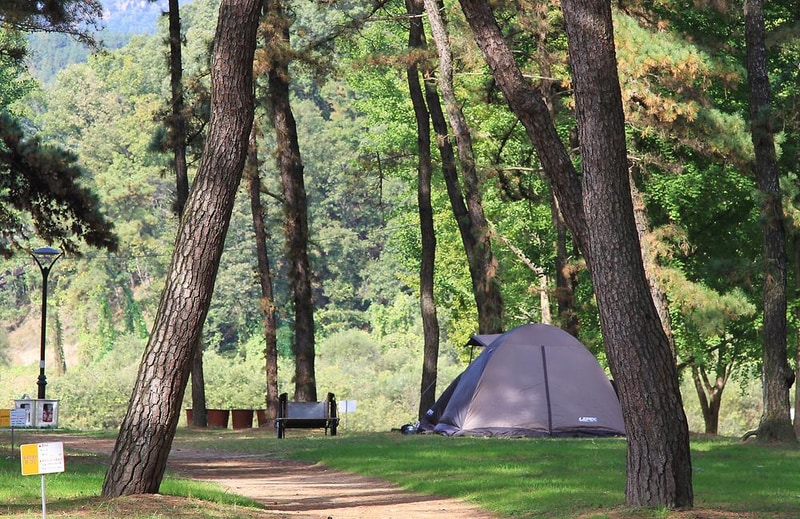 송호국민관광지 야영장 시설 사진 6