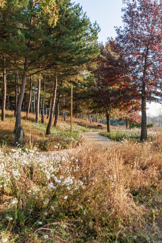 자라섬 캠핑장 시설 사진 84
