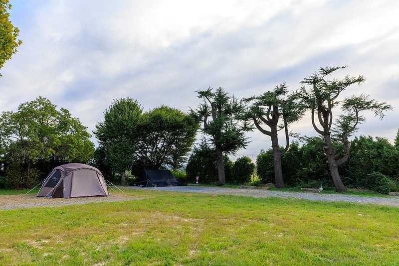 소풍 시설 사진 9