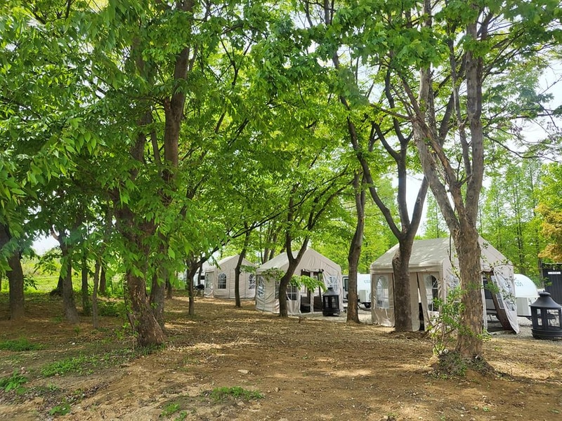 해브펀 캠핑 어라운드 시설 사진 9