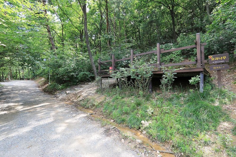 행복숲체험원 오토캠핑장 시설 사진 17