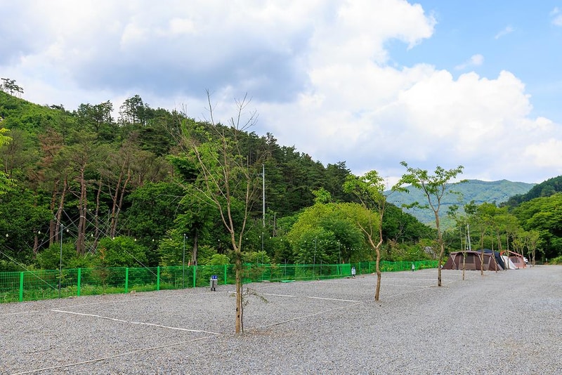 금계관광농원 시설 사진 11