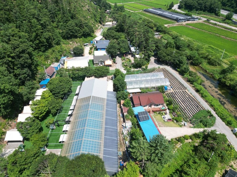 솔밭체육공원오토캠핑장 시설 사진 15