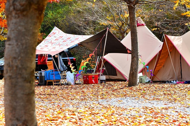 늘푸른쉼터 시설 사진 5