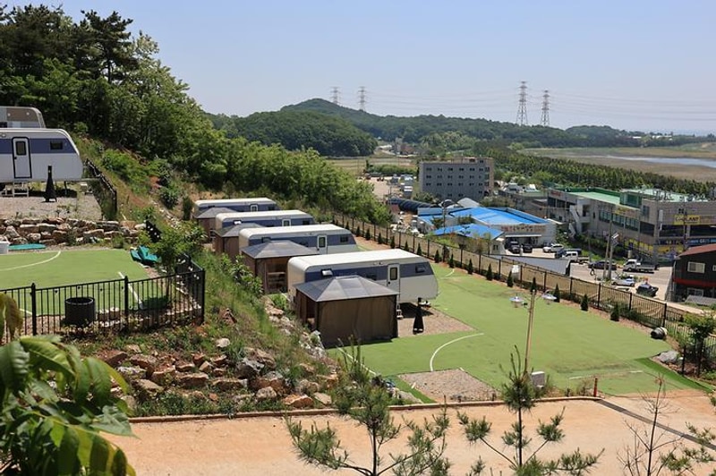 하버드카라반 대표 사진