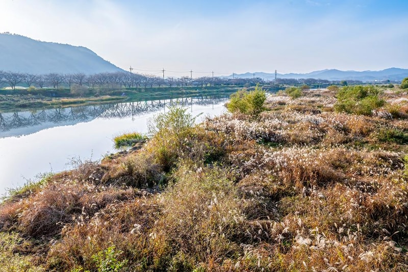 영벽정오토캠핑장 시설 사진 8