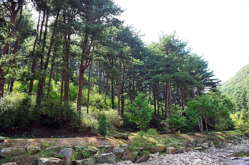 포시즌스 오토캠핑장 시설 사진 7