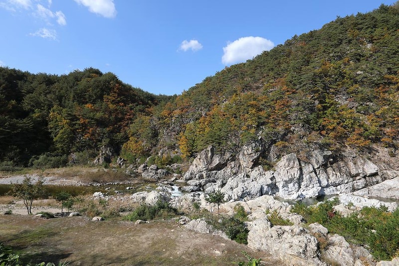 왕피천모래언덕 펜션/캠핑장 시설 사진 5