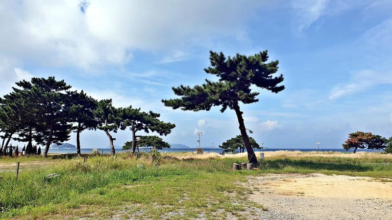 캠핑스테이 청포대 시설 사진 33