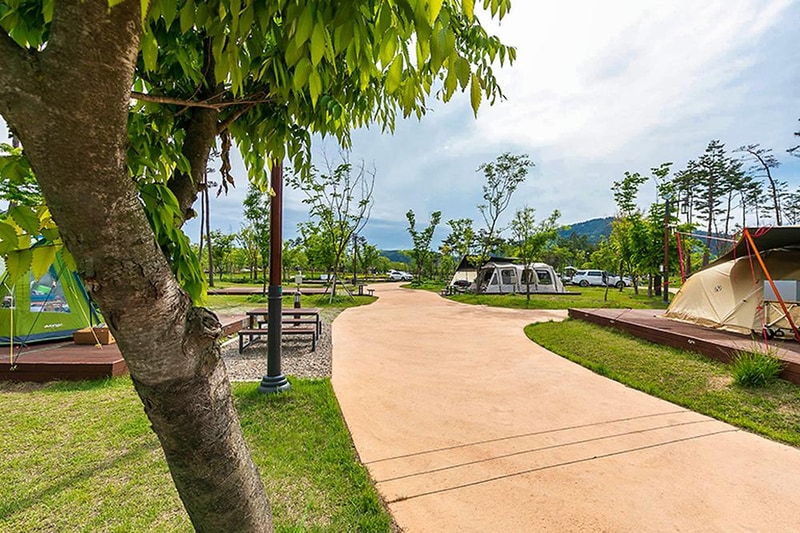 삼강나루캠핑장 시설 사진 37
