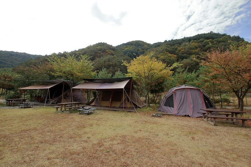 꿈엔들 캠프장 시설 사진 6