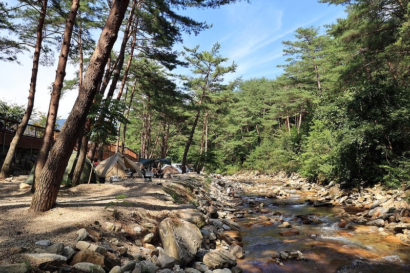 캠프 오어즈 시설 사진 9