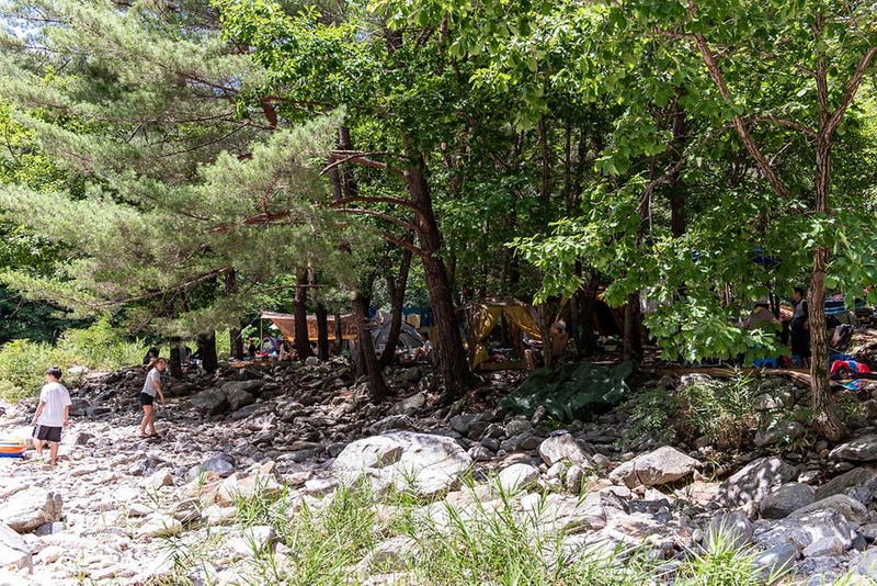 북극곰 야영장 시설 사진 16