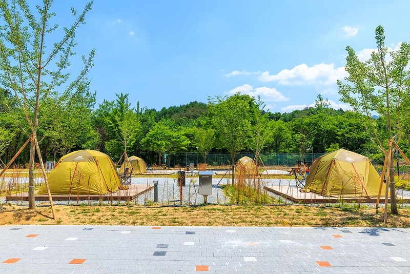 경상북도교육청김천오토캠핑장 시설 사진 3
