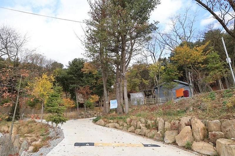 금동휴양림캠프3 대표 사진