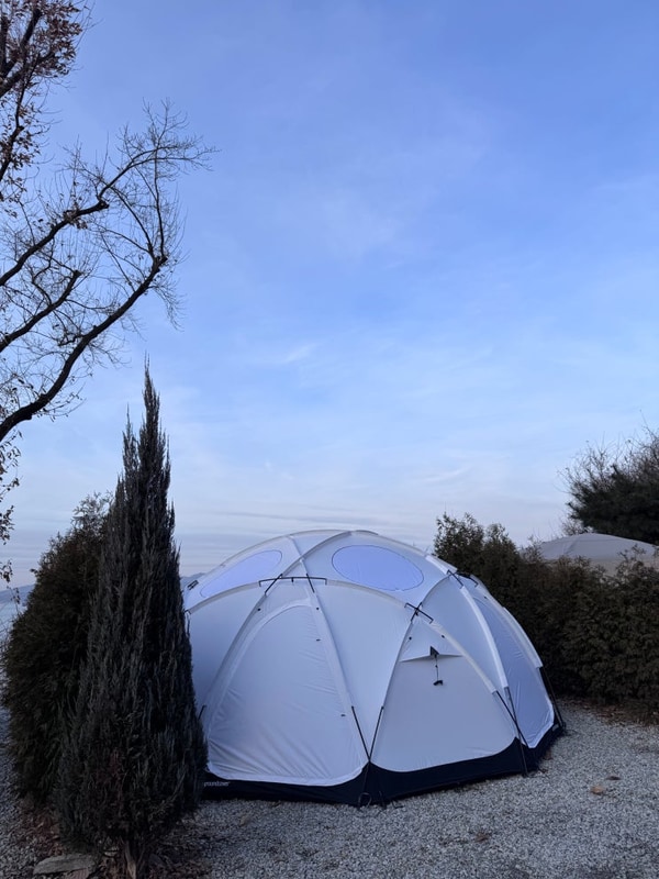 브라운 대표 사진