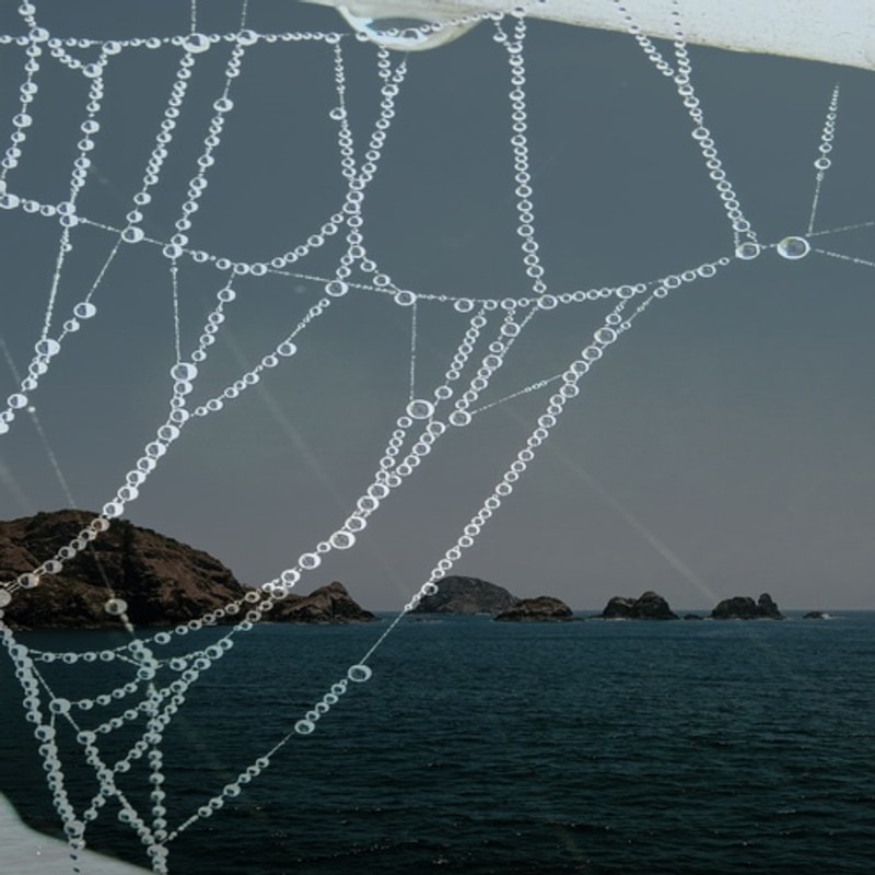 절골힐링캠핑장