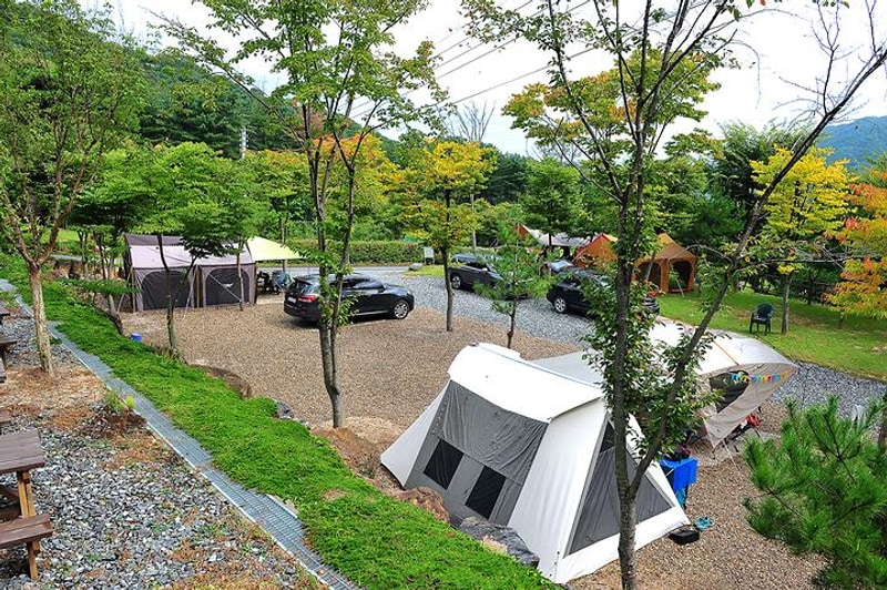 닥박골 휴양림 대표 사진