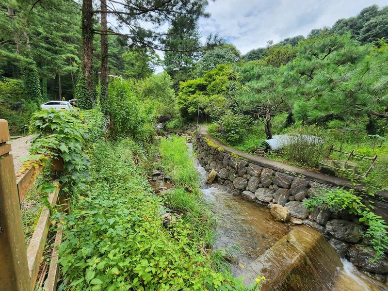 잣숲캠핑장 시설 사진 21