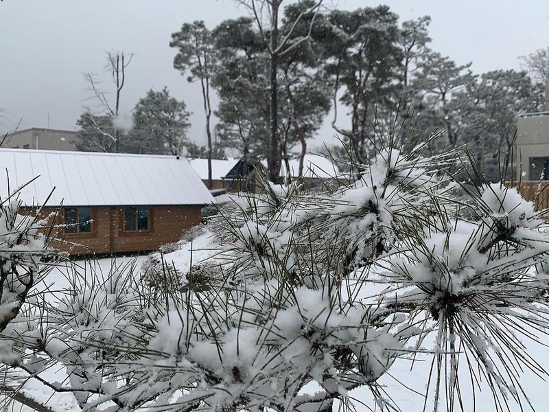 스톤힐 글램핑 시설 사진 2