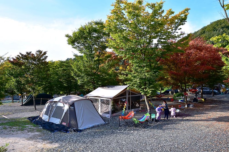 대회산캠핑장 시설 사진 11
