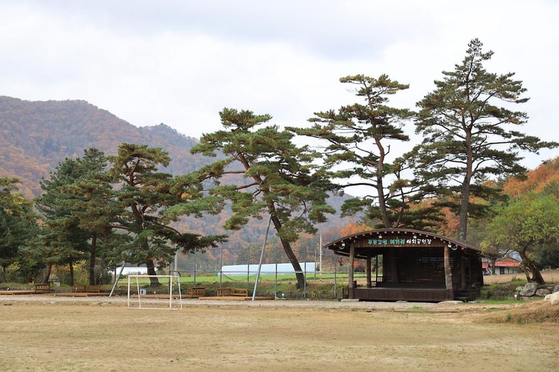 대기리산촌체험학교야영장 시설 사진 12