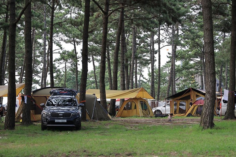 구시포 노을 캠핑장 시설 사진 15
