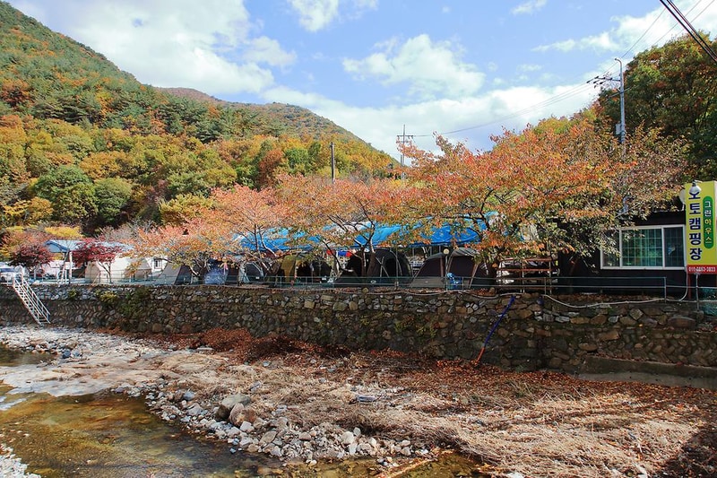 그린하우스캠핑장 시설 사진 8