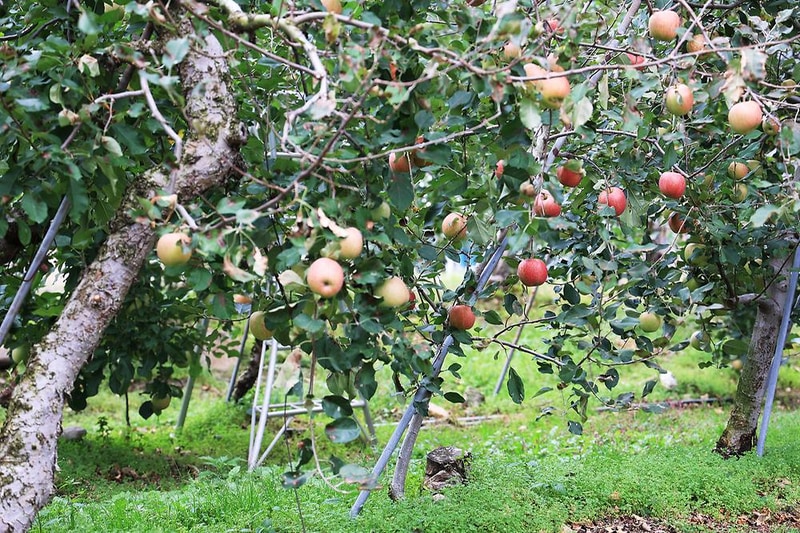 캠핑가는 날 시설 사진 9