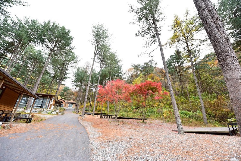 유명산힐링캠프 시설 사진 2