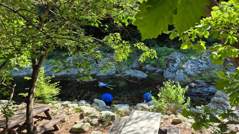 레드우드캠핑장 시설 사진 15