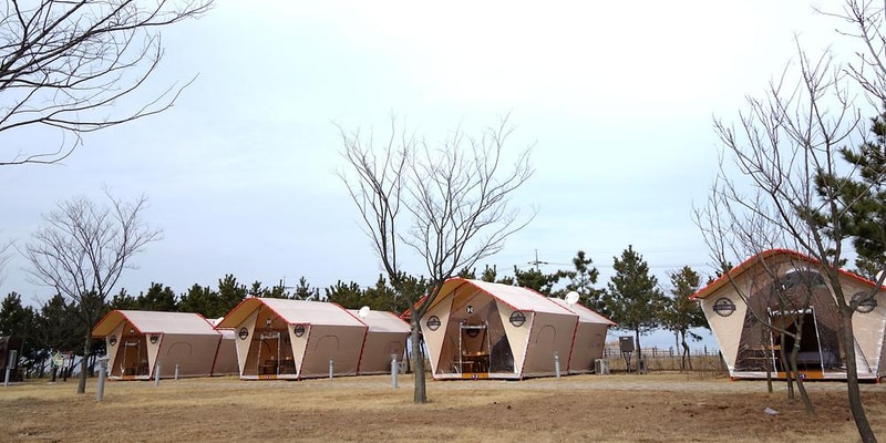 고창갯벌오토캠핑&글램핑장 시설 사진 30