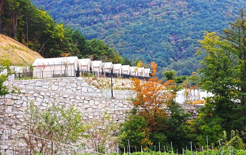 라포레소호 대표 사진