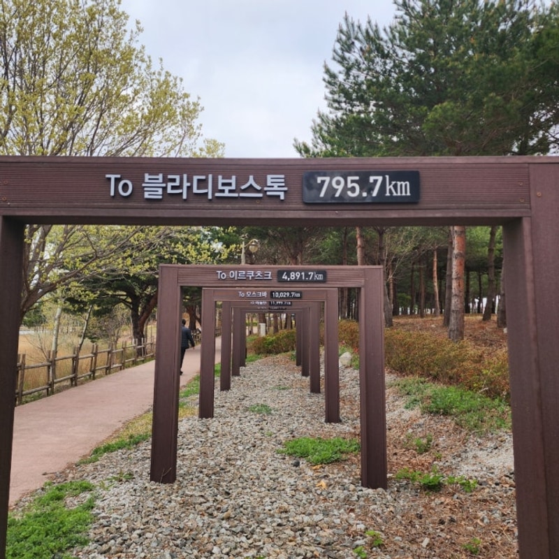 [캠핑카여행]강원도 고성여행.송지호 아침산책.동해북부선...