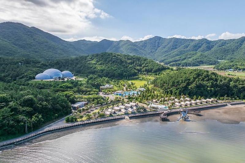 디노글램핑 대표 사진