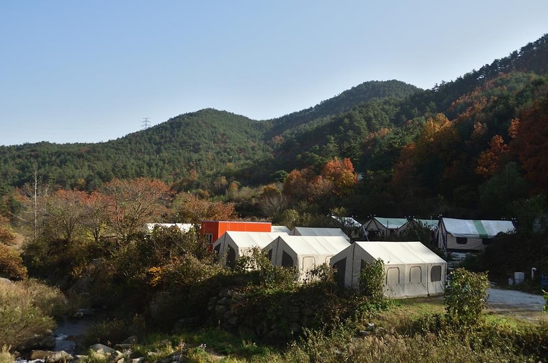 주문진글램핑오토캠핑장 시설 사진 18