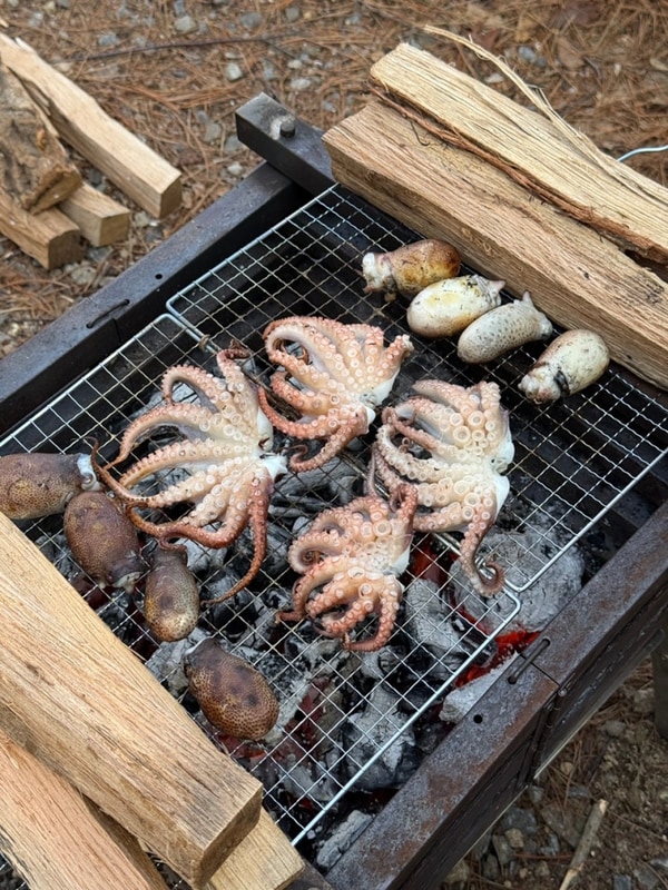 캠핑플레이