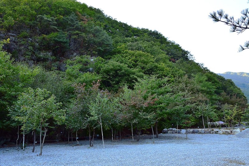 담터오지캠핑장 시설 사진 4